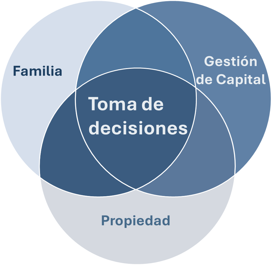 gobernanza del family office y patrimonio familiar